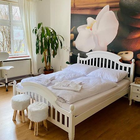 Beauty-Spa Apartment Decin Buitenkant foto