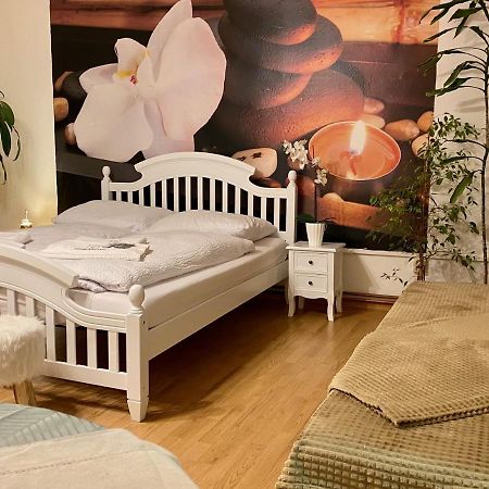 Beauty-Spa Apartment Decin Buitenkant foto