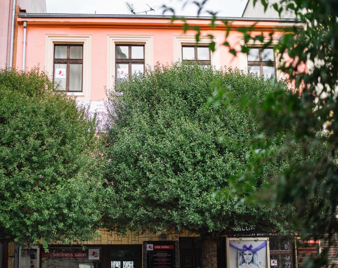 Beauty-Spa Apartment Decin Buitenkant foto